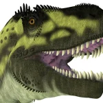 長さ約1.2mにも達する巨大な頭部と凶悪な歯