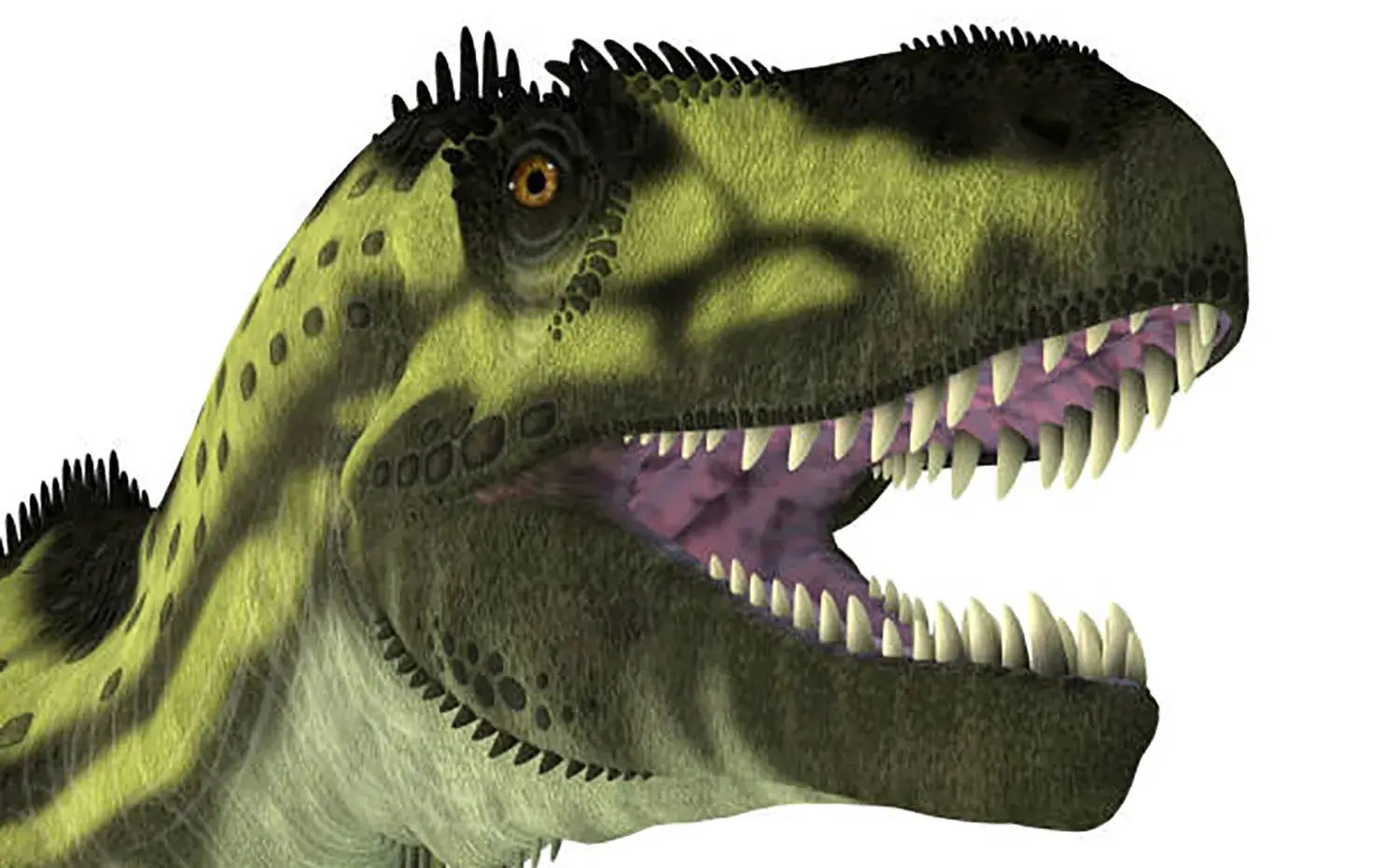 長さ約1.2mにも達する巨大な頭部と凶悪な歯