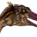 大きな目は対象を立体的に捉えることができた