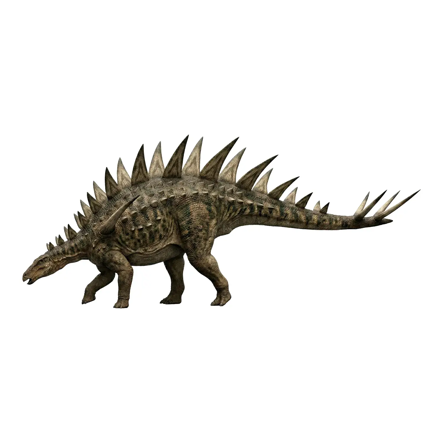 トゥオジアンゴサウルス