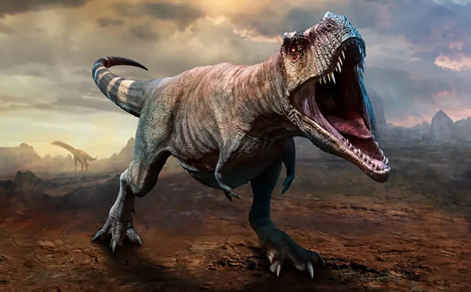 食物連鎖の頂点に位置していた