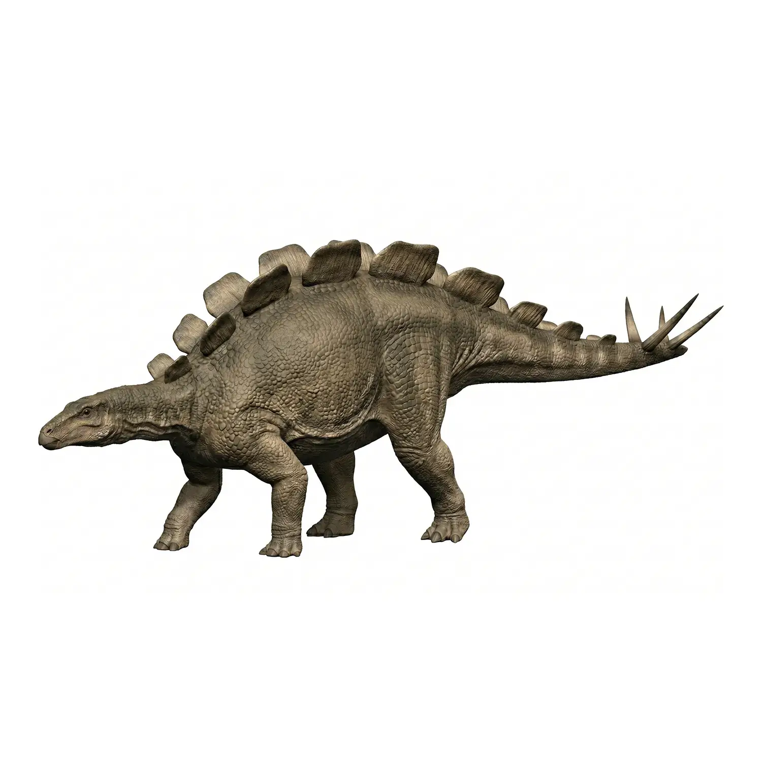 ウエルホサウルス