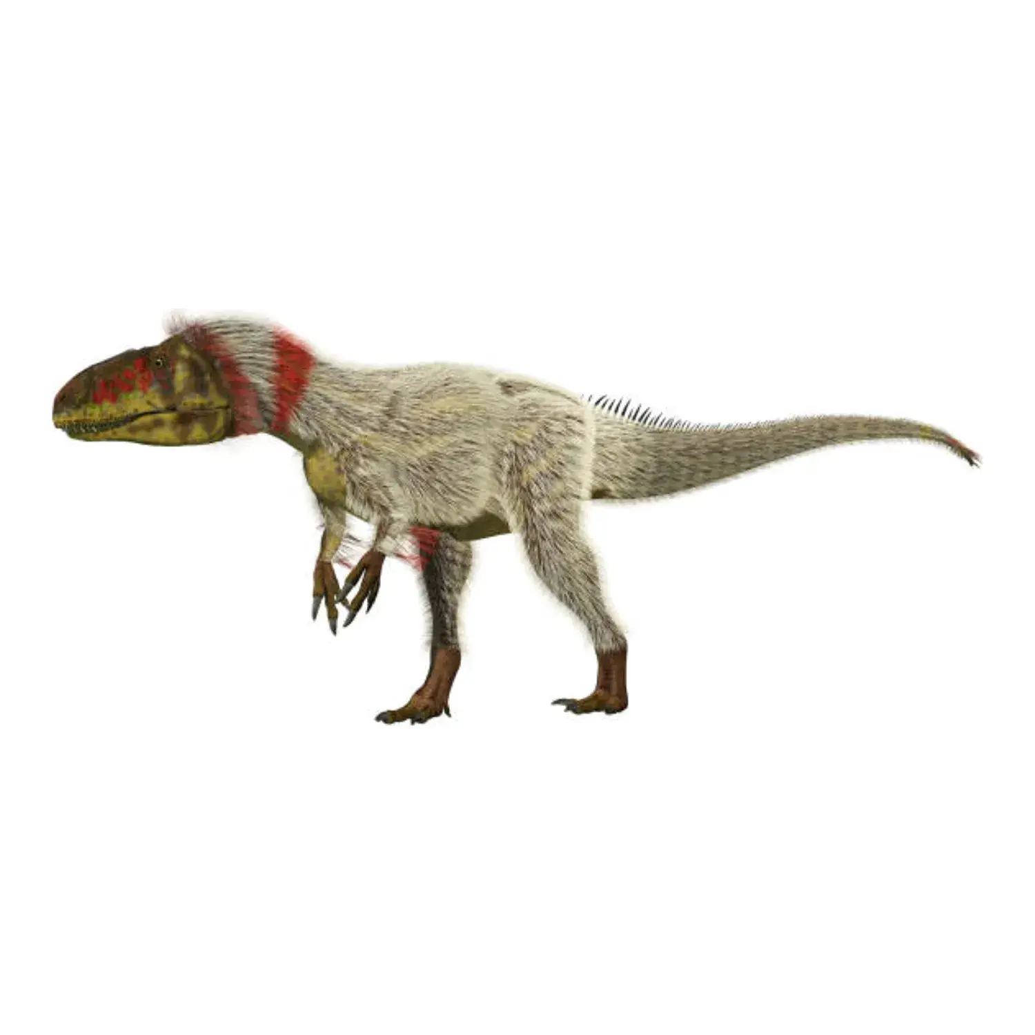 ユウティラヌス