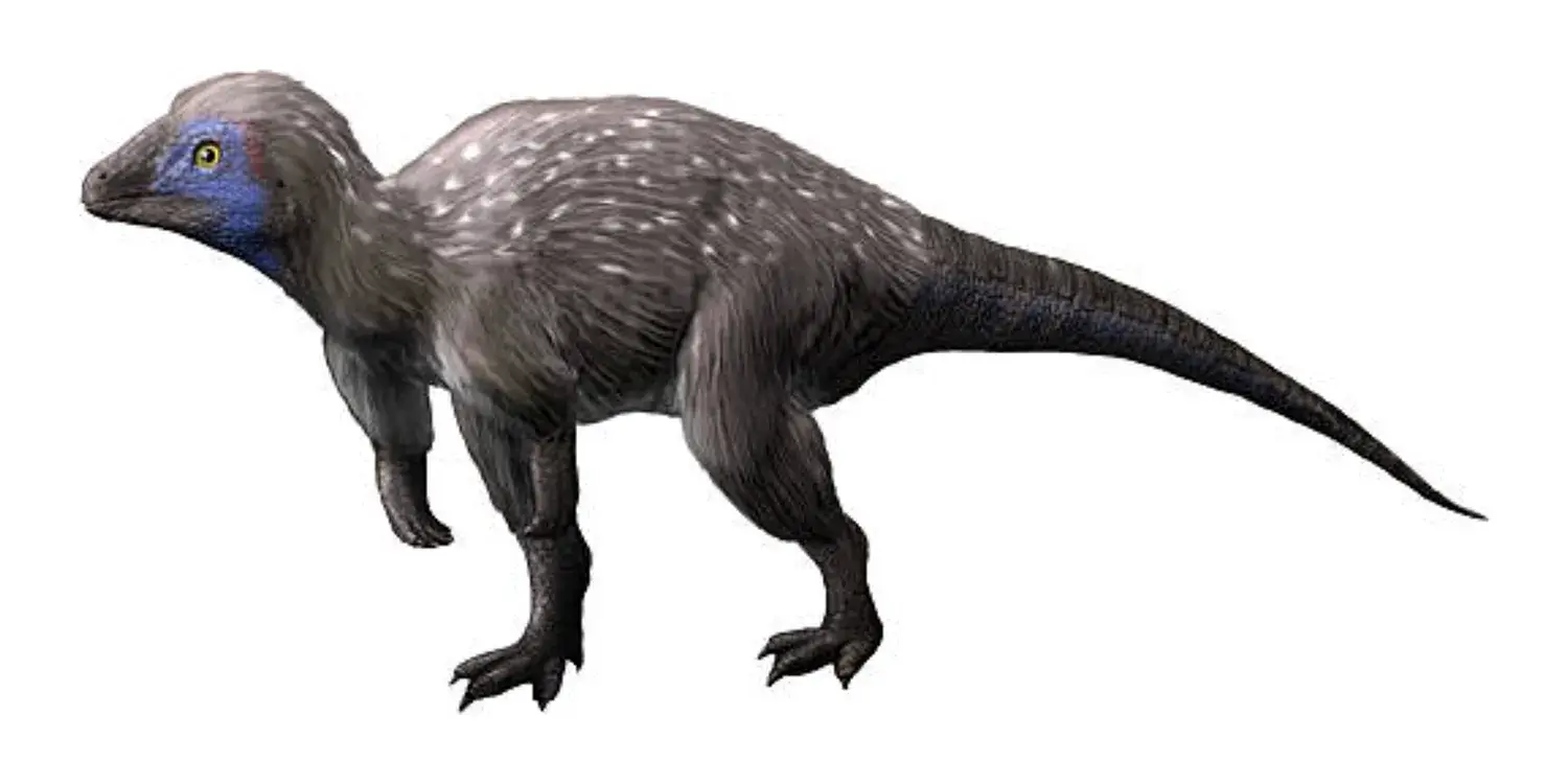 クリンダドロメウス