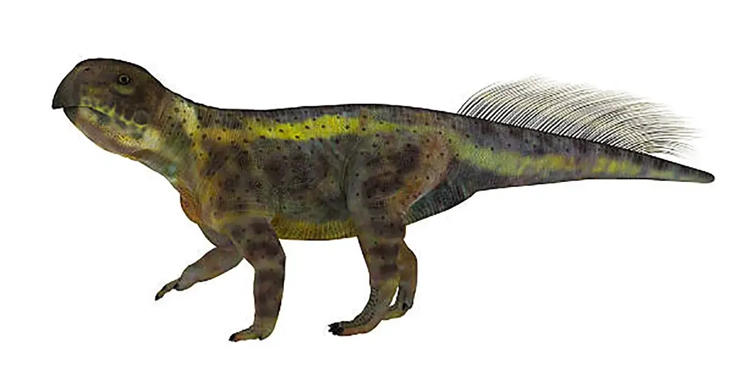 プシッタコサウルス