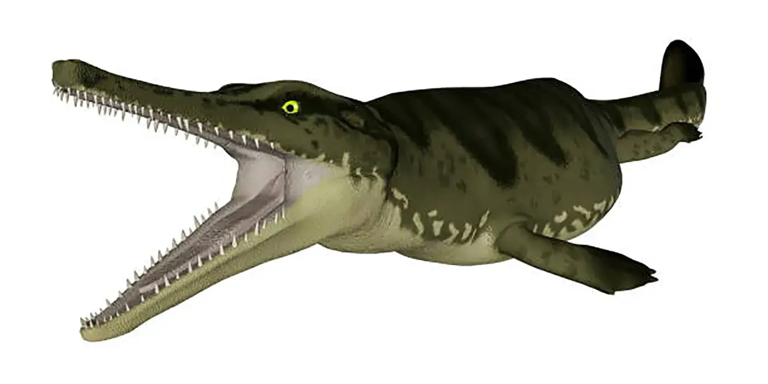 Metriorhynchus