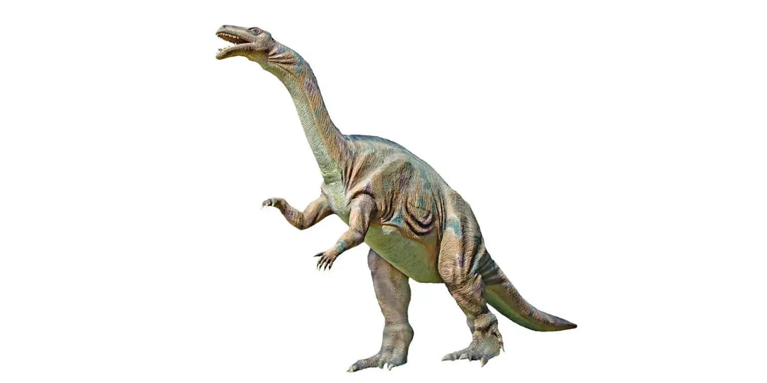 Plateosaurus