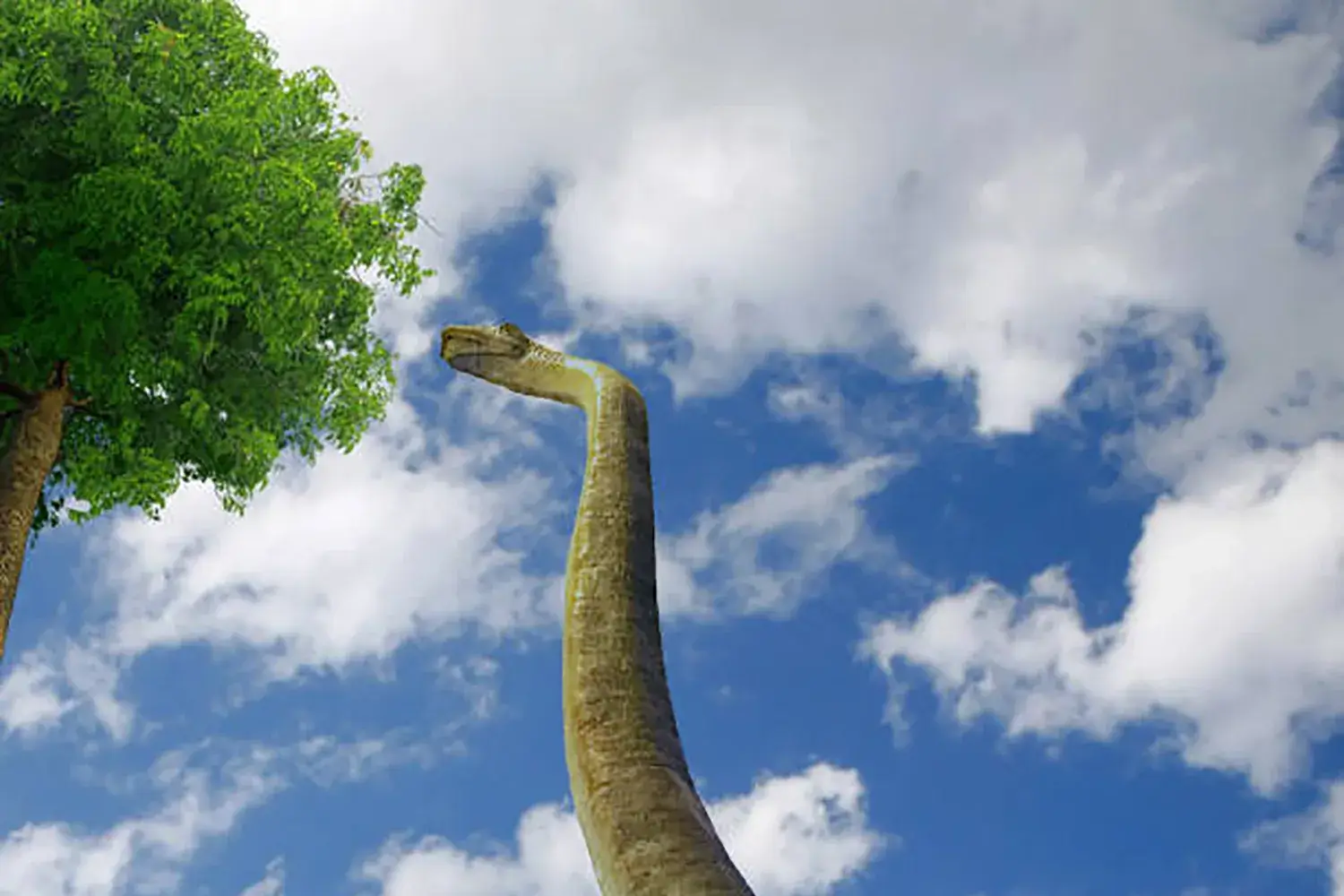 It could eat leaves from high positions.