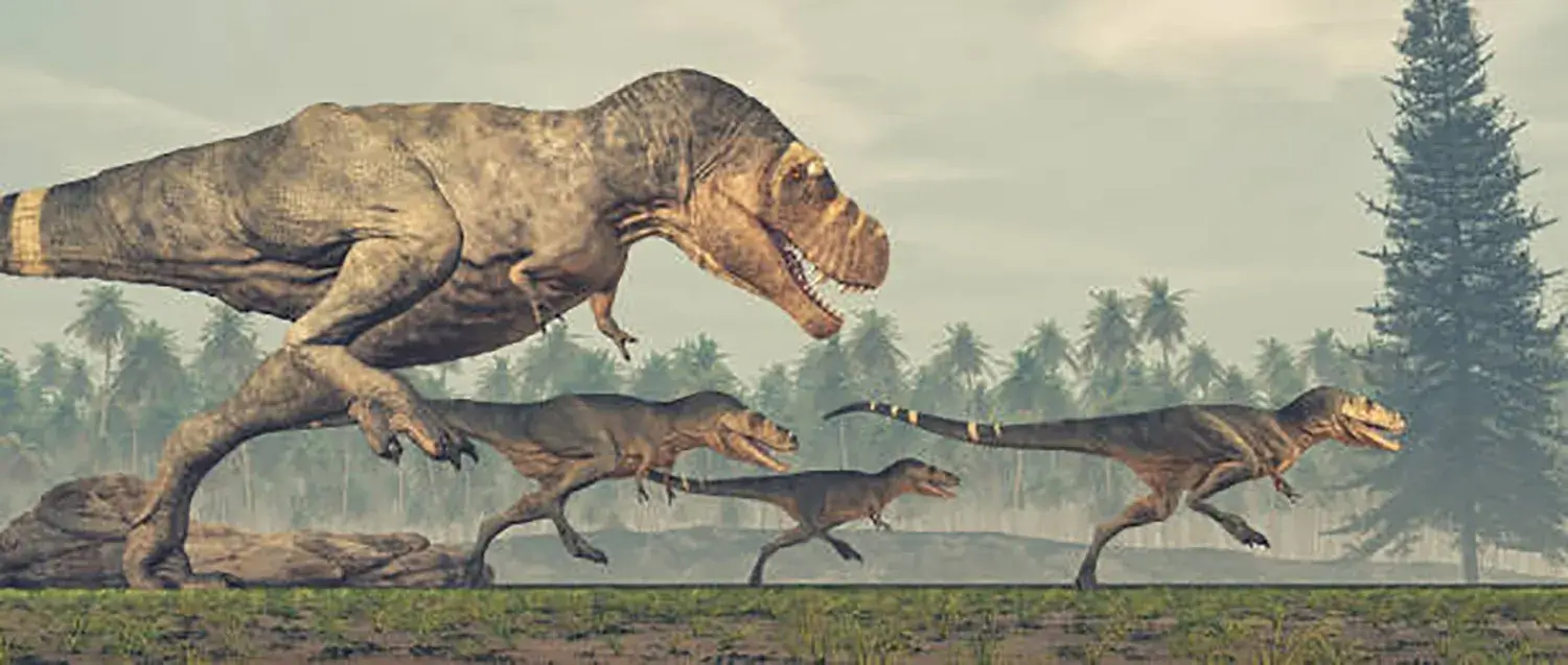 They excelled at swift movements.