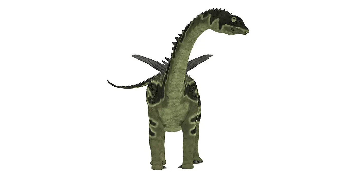 How long could the rod-like spikes along Agustinia’s back grow?