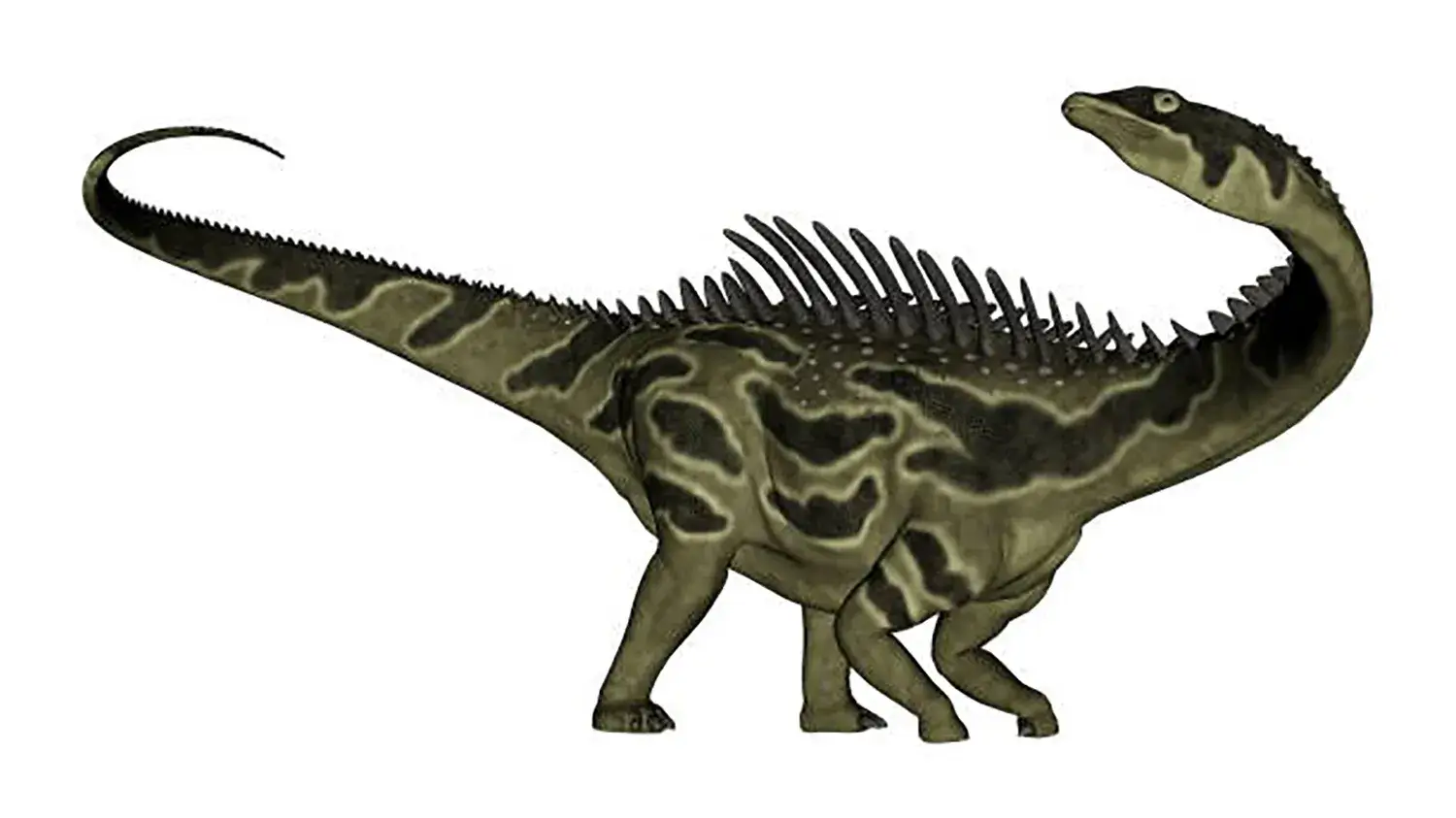 剣竜類や鎧竜類、それにヤマアラシを組み合わせたような外観をもつ恐竜。