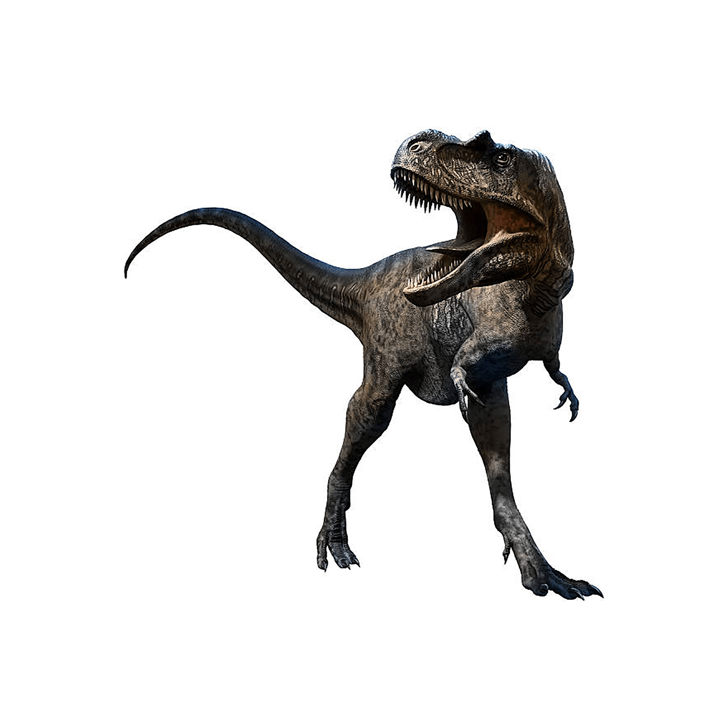 アルバートサウルス