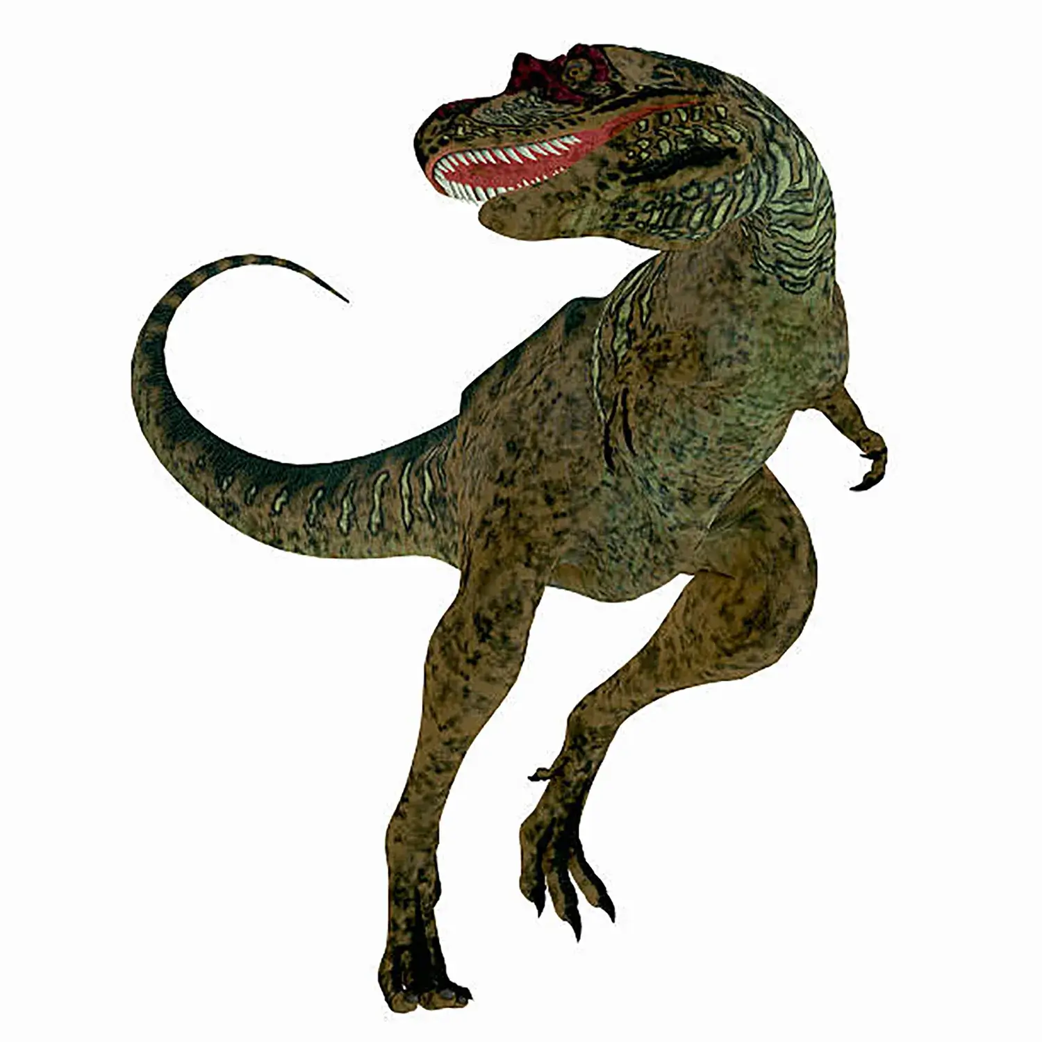 アルバートサウルス | 恐竜博物館.web