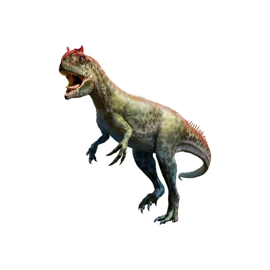 FRP アロサウルスの頭部 Allosaurus Head fr100014 『恐竜オブジェ