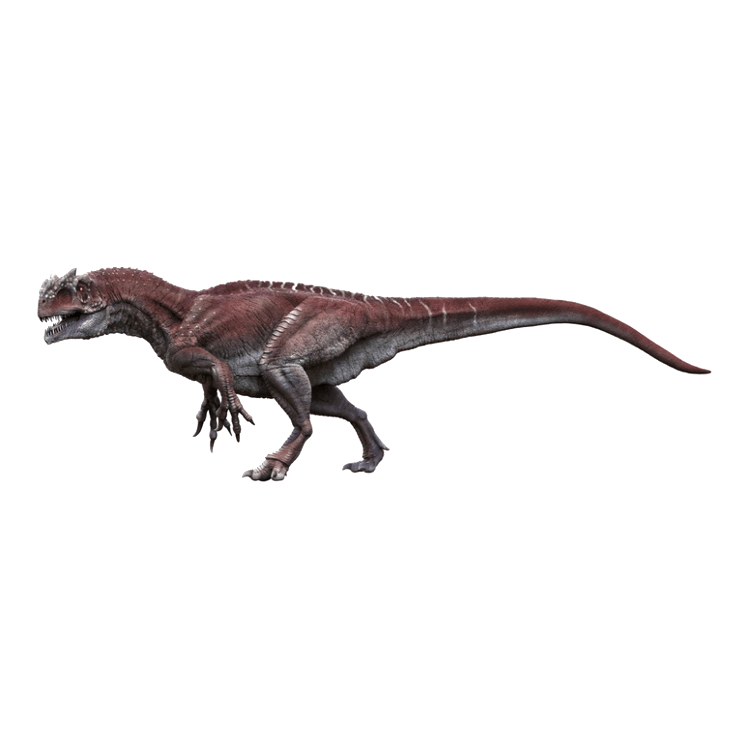 恐竜 恐竜博物館.web