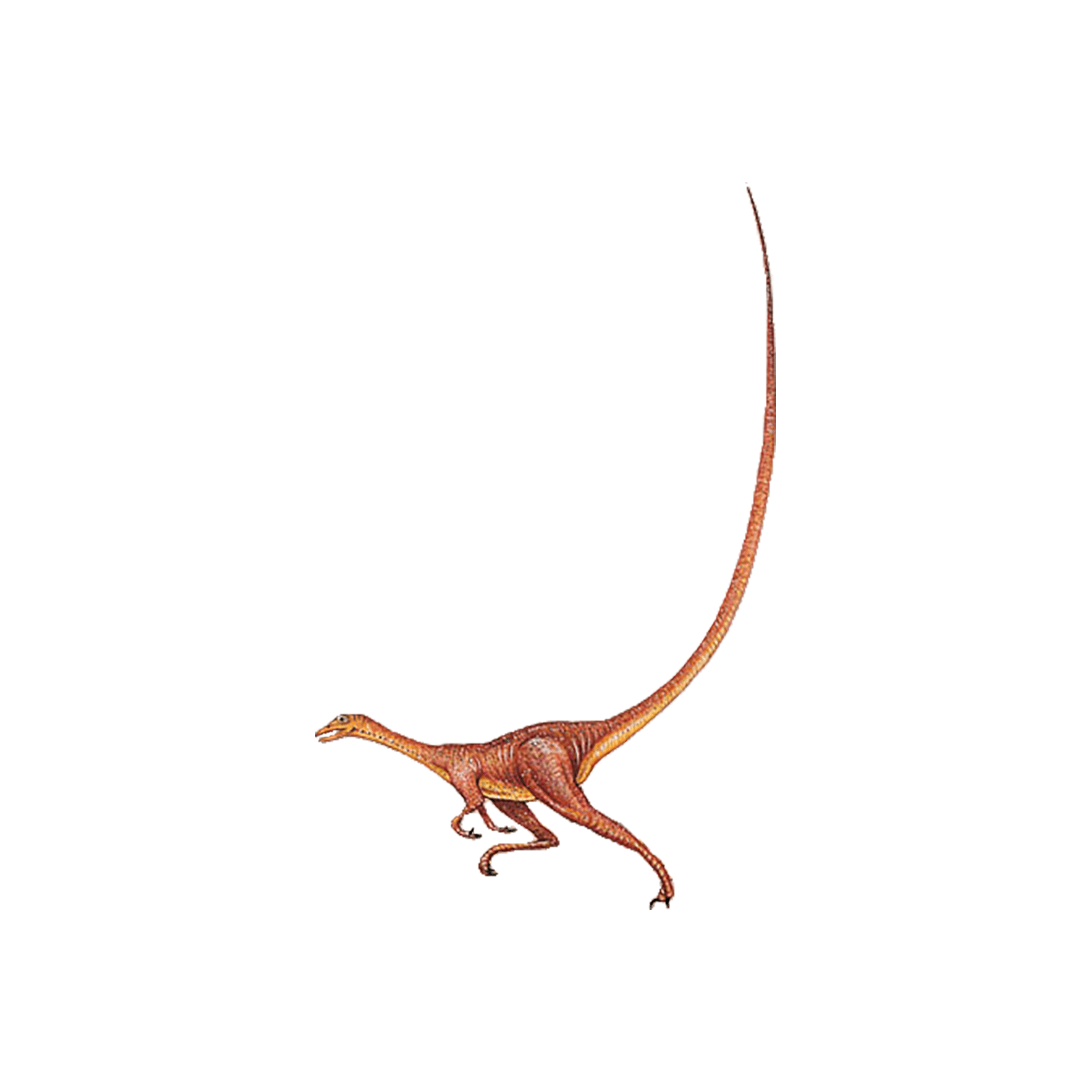 アルヴァレツサウルス