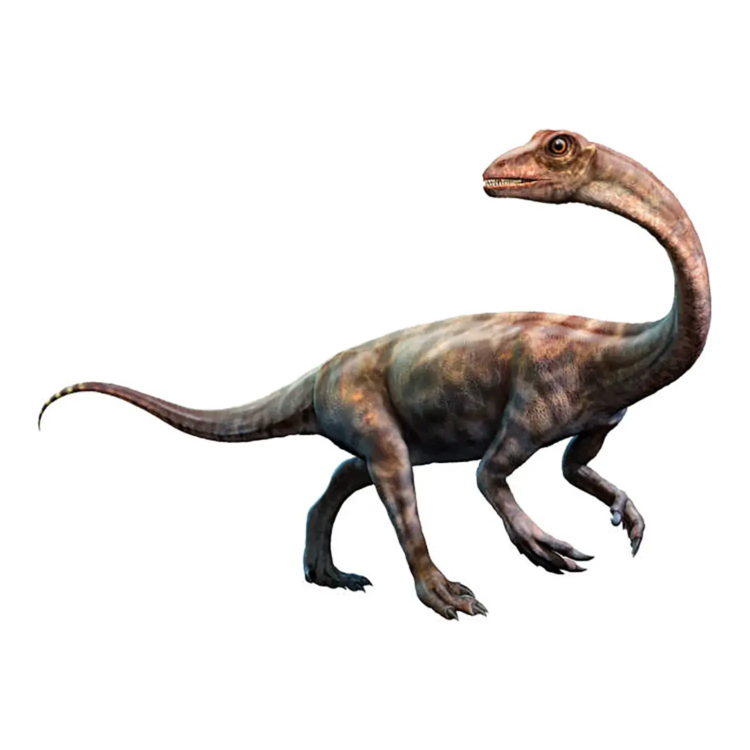 アンキサウルス