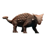 アンキロサウルス
