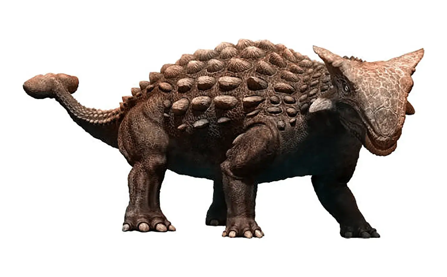 アンキロサウルス