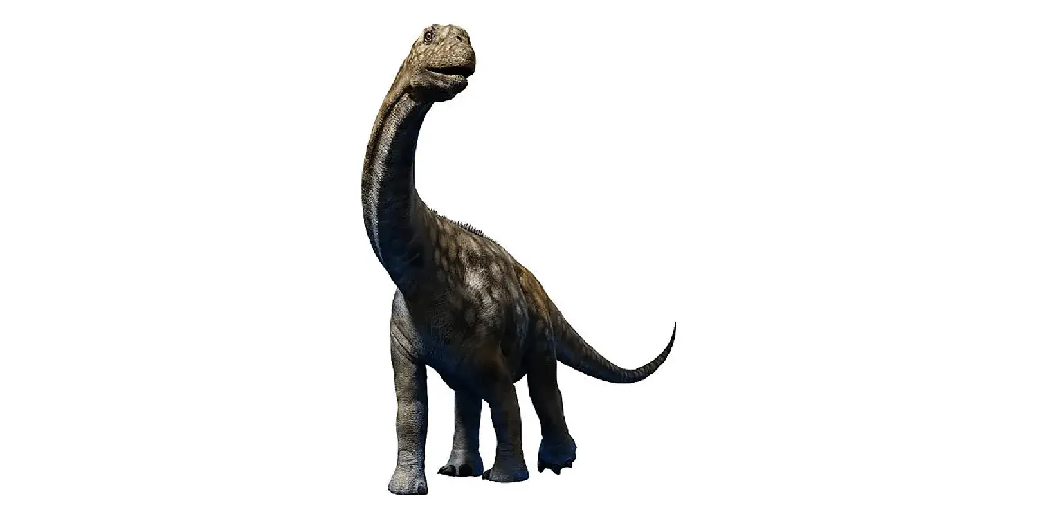 What kind of fossils were used to estimate the size of Argentinosaurus?