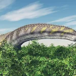 大量の植物を食べるために広範囲にわたる移動をしていた