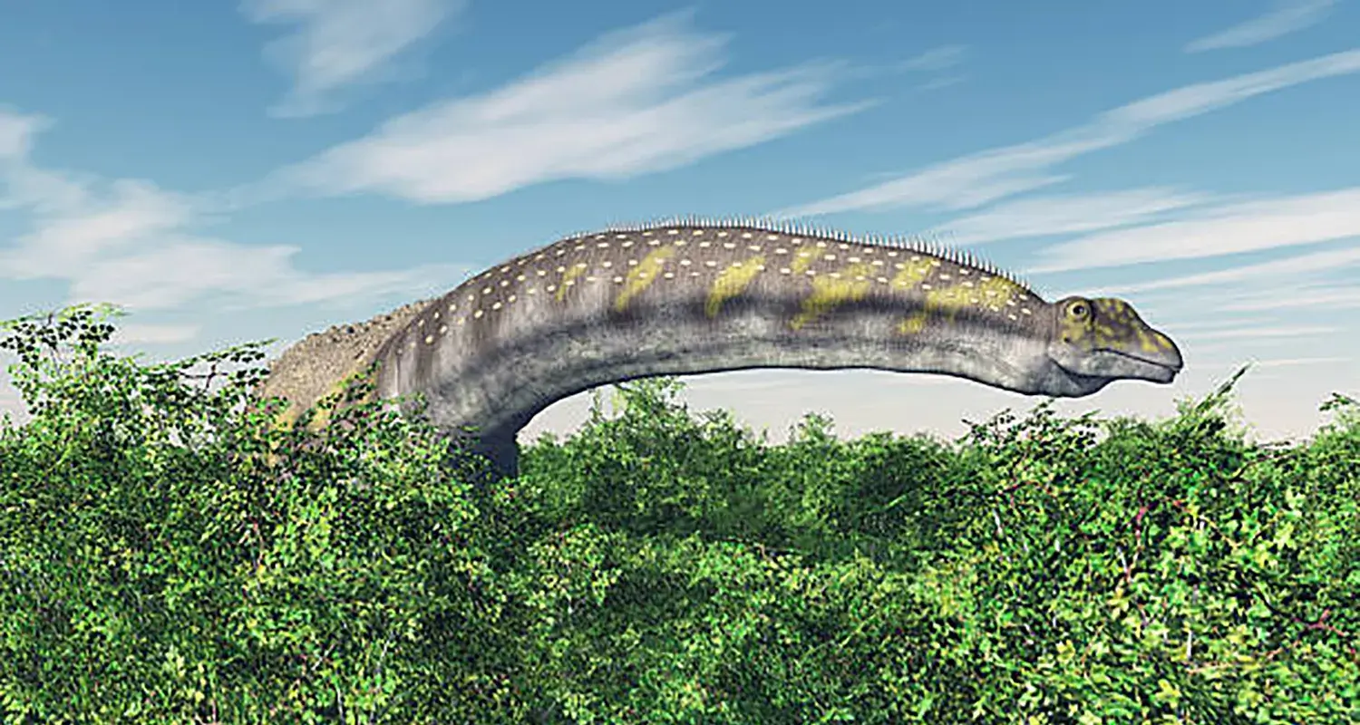 大量の植物を食べるために広範囲にわたる移動をしていた