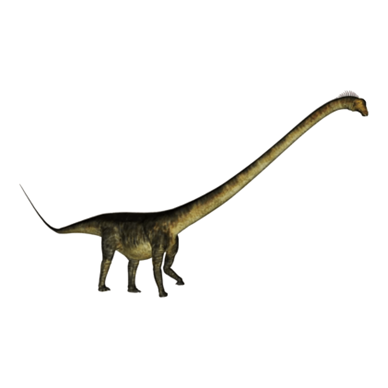 バロサウルス
