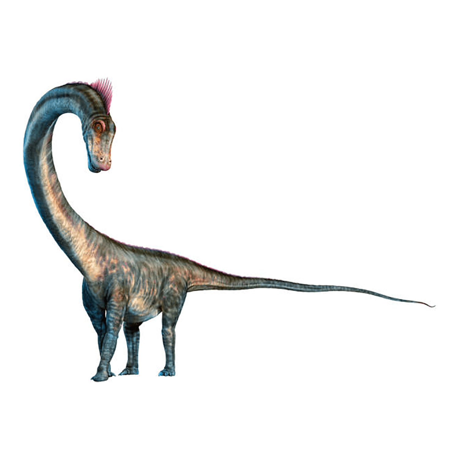 バロサウルス