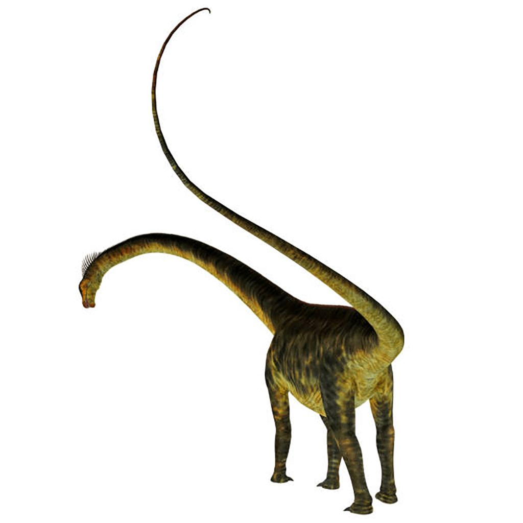 バロサウルスの尻尾
