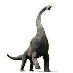 ブラキオサウルス