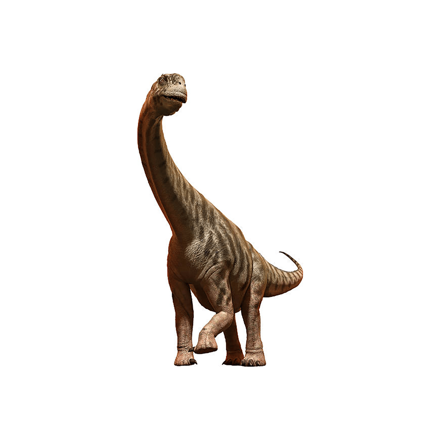 カマラサウルス