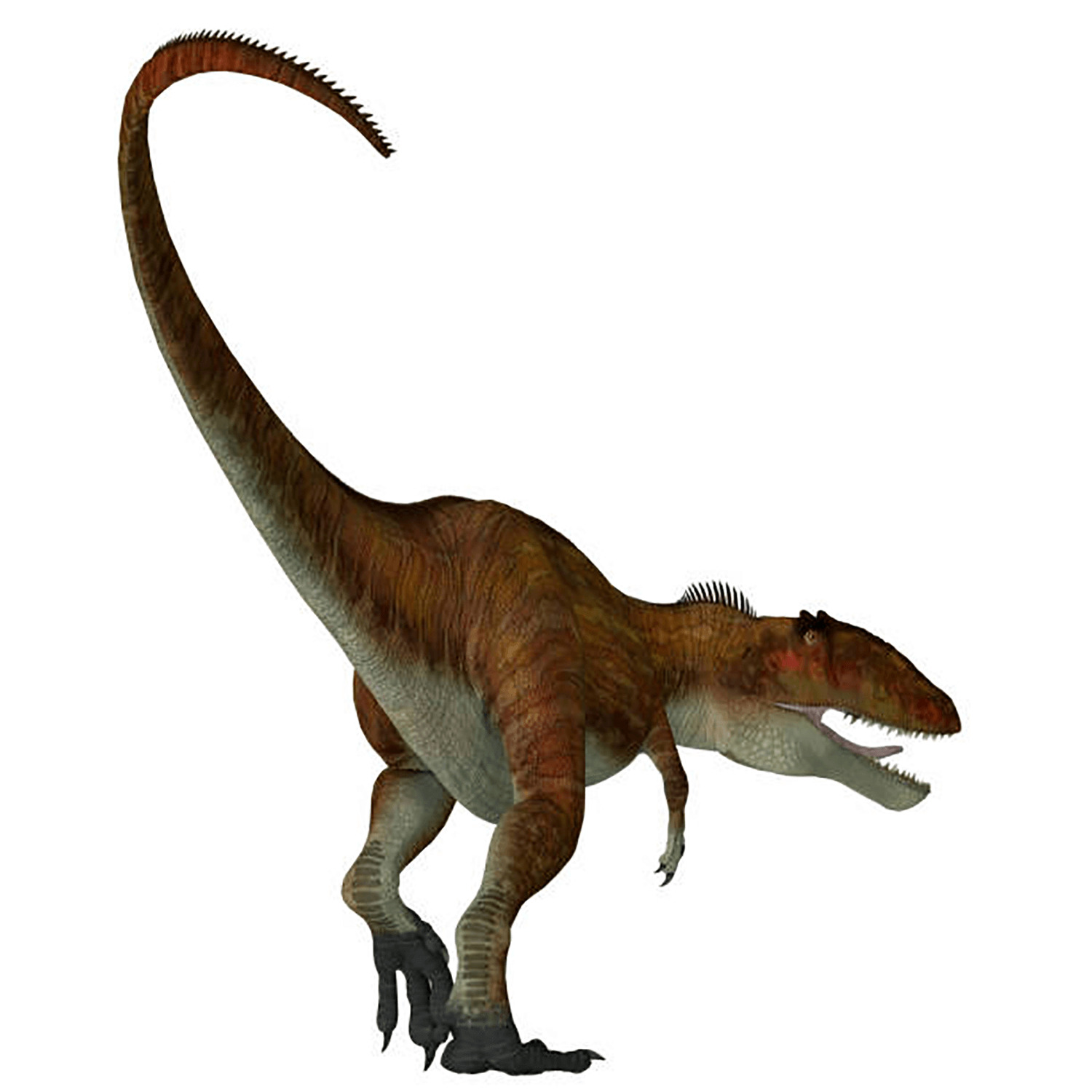 カルカロドントサウルス | 恐竜博物館.web