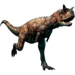 前肢の長さは50cm程度しかない