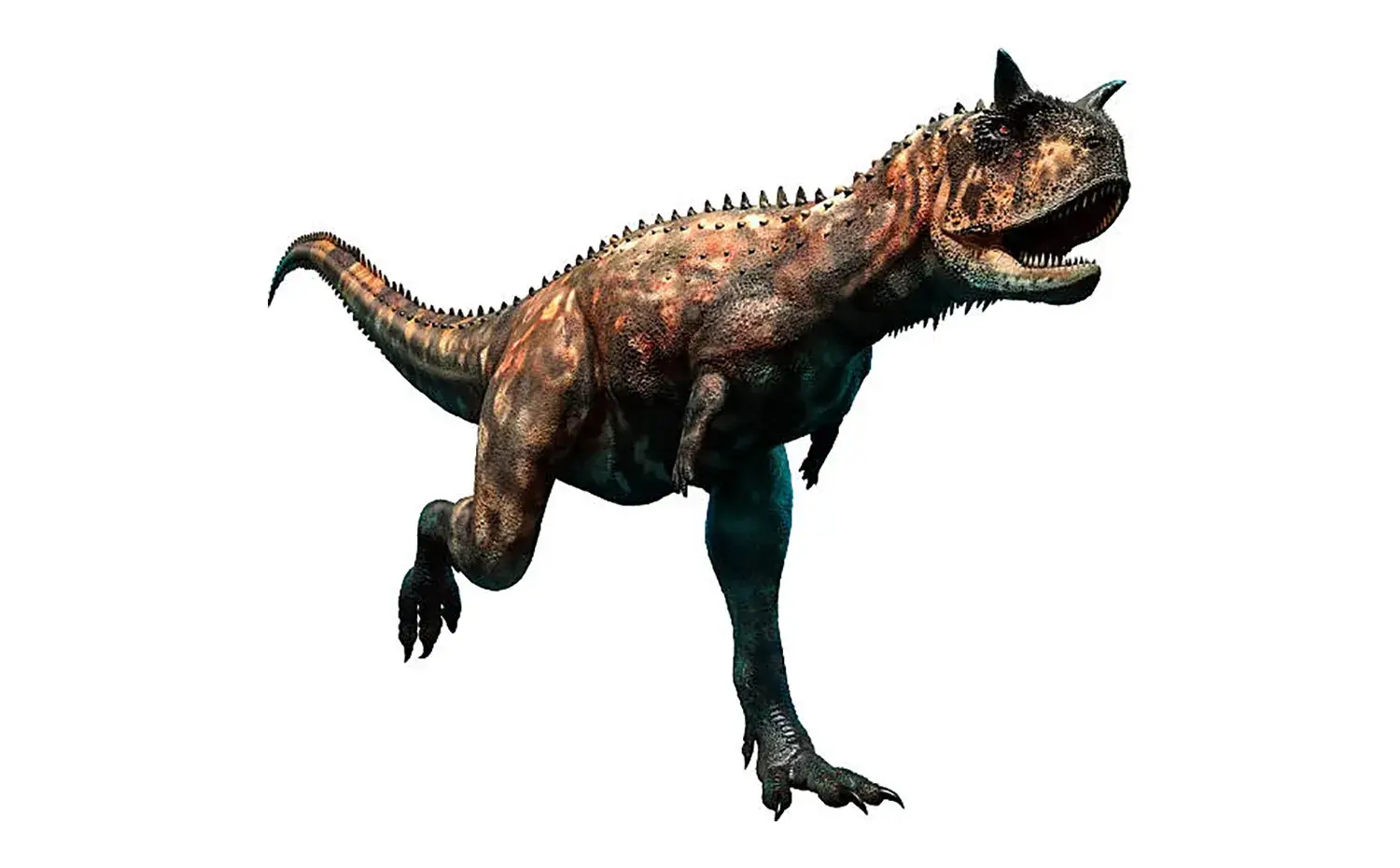 Its forelimbs were only about 50 cm long.