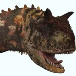 目の上に左右に突き出た太い角が2本あった