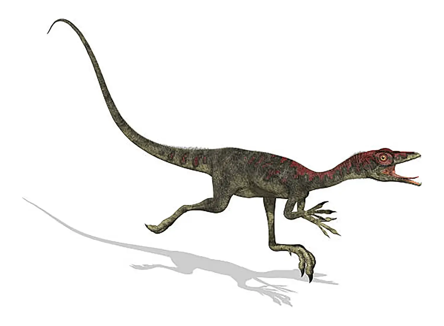 走行速度は時速64kmものスピードに達した可能性があると推定されている