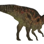 尾の可動性は乏しかったと考えられている