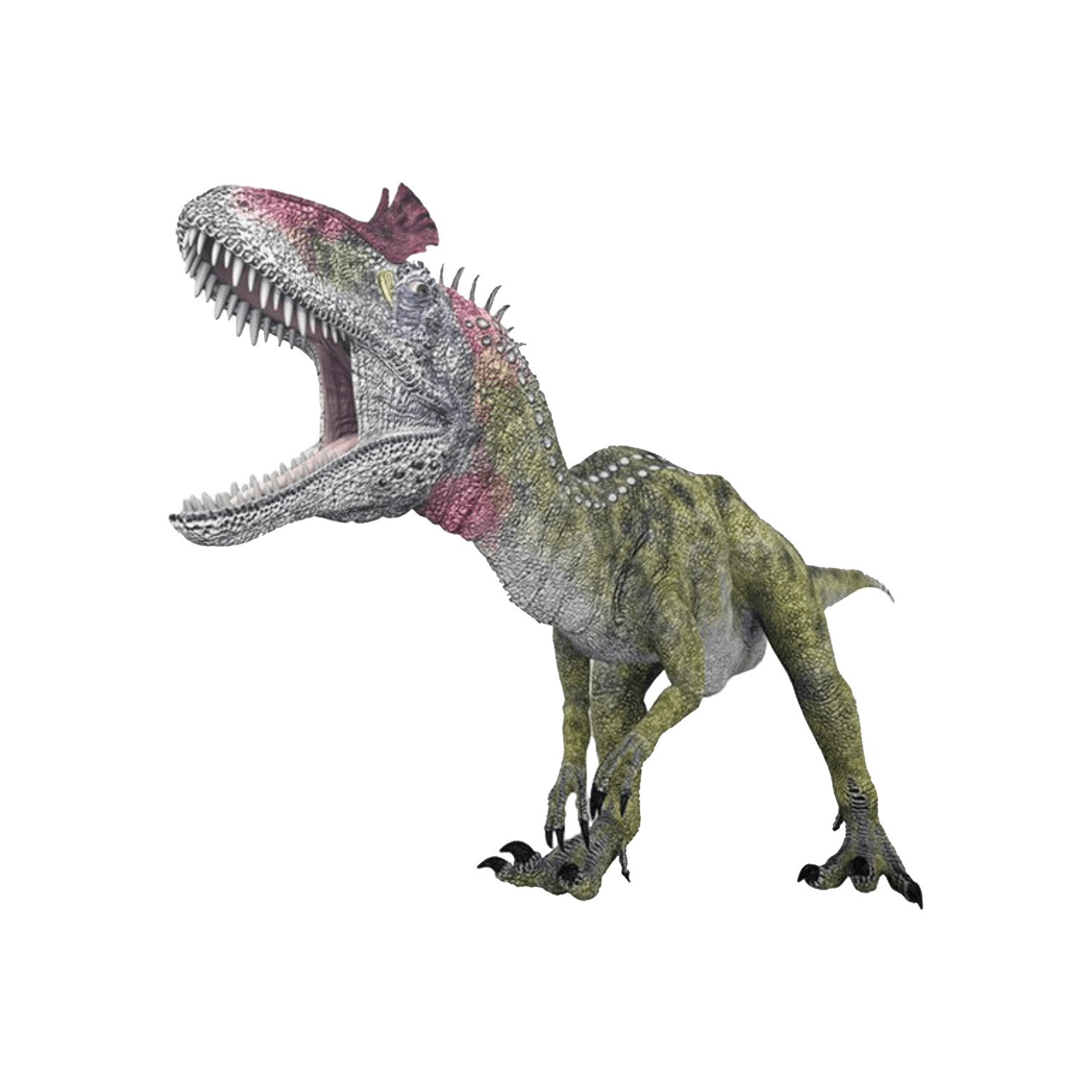 クリオロフォサウルス | 恐竜博物館.web