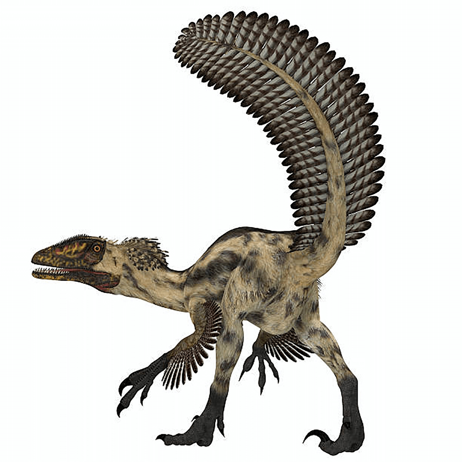 Deinonychus |.museu di dinosaur.web