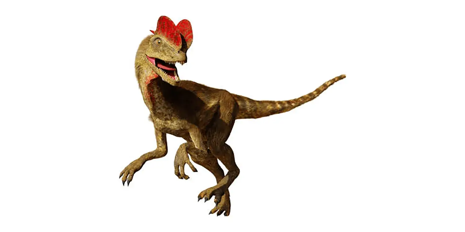 What was a distinctive characteristic of the two crests on Dilophosaurus’s head?