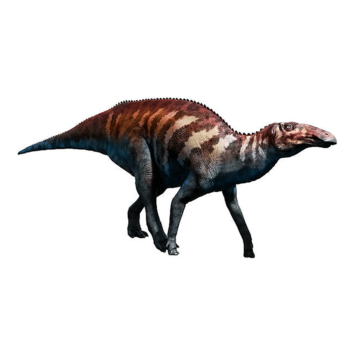 エドモントサウルス