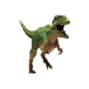 木の上 エオカルカリア 木の上の妖怪】エオカルカリア（ジャーク