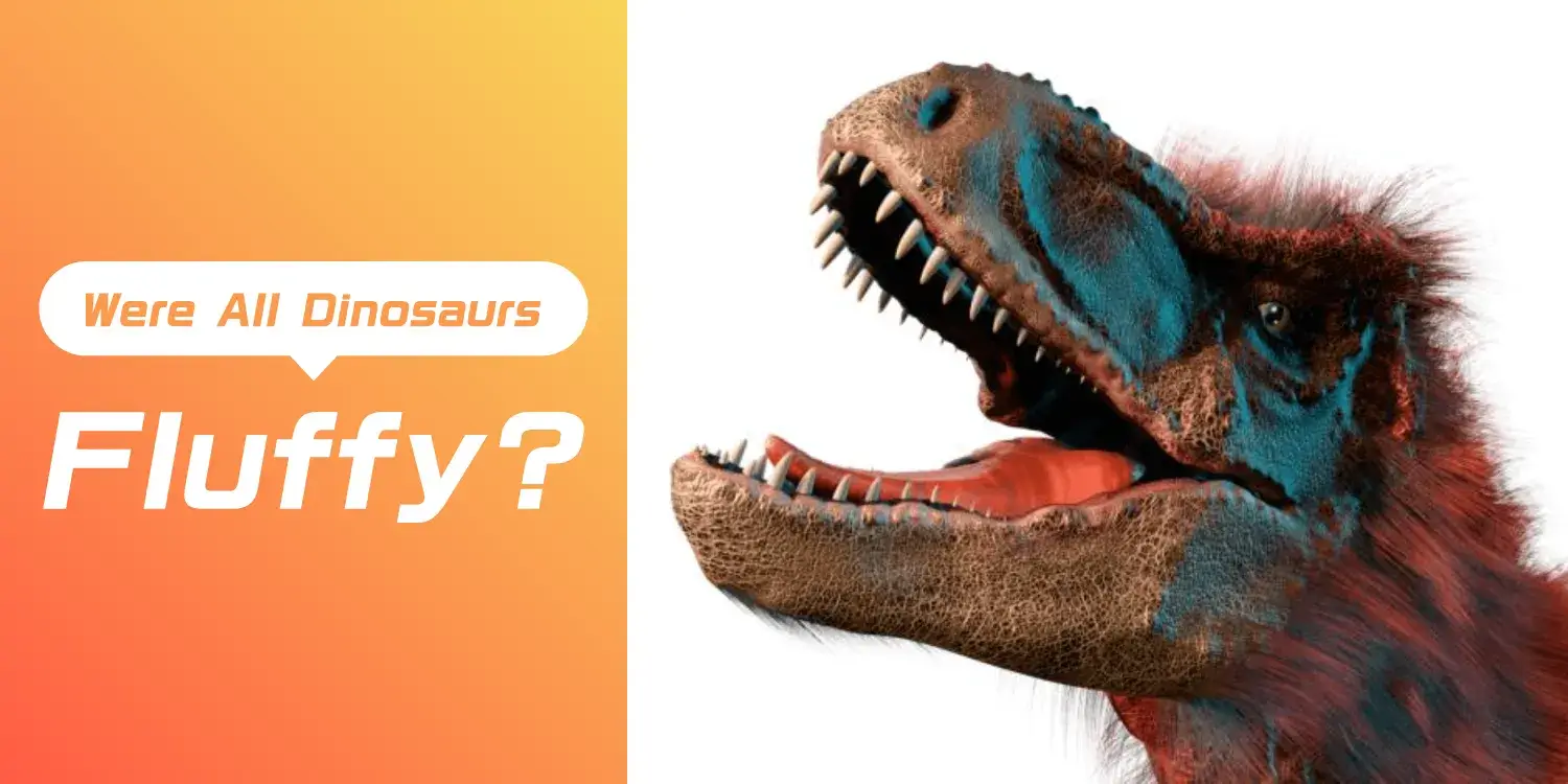 The Shock of the "Fuzzy Dinosaur" Theory: The Forefront of Research on Avian Origins and Feather Evolution.