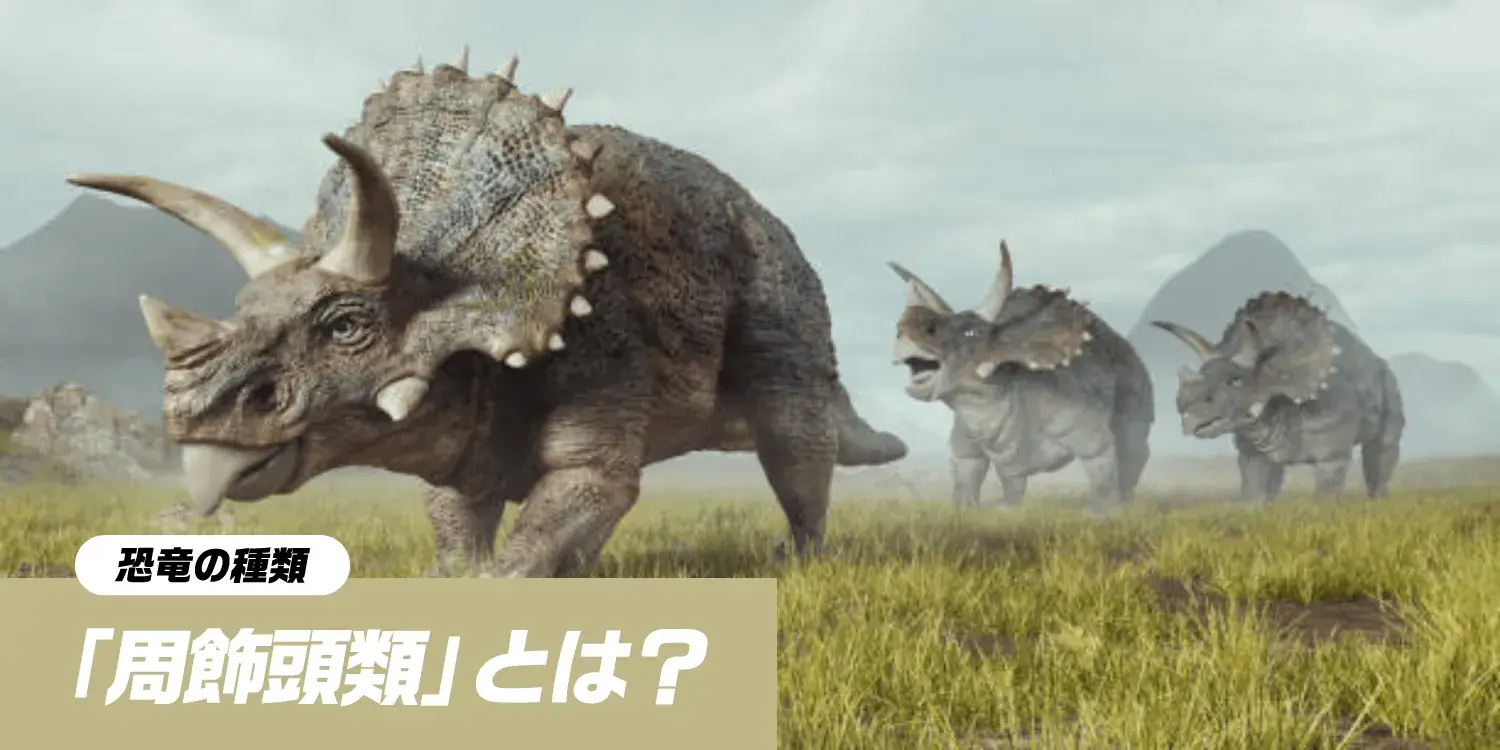 頭を飾った恐竜たち「周飾頭類」：角とフリルに隠された進化の秘密