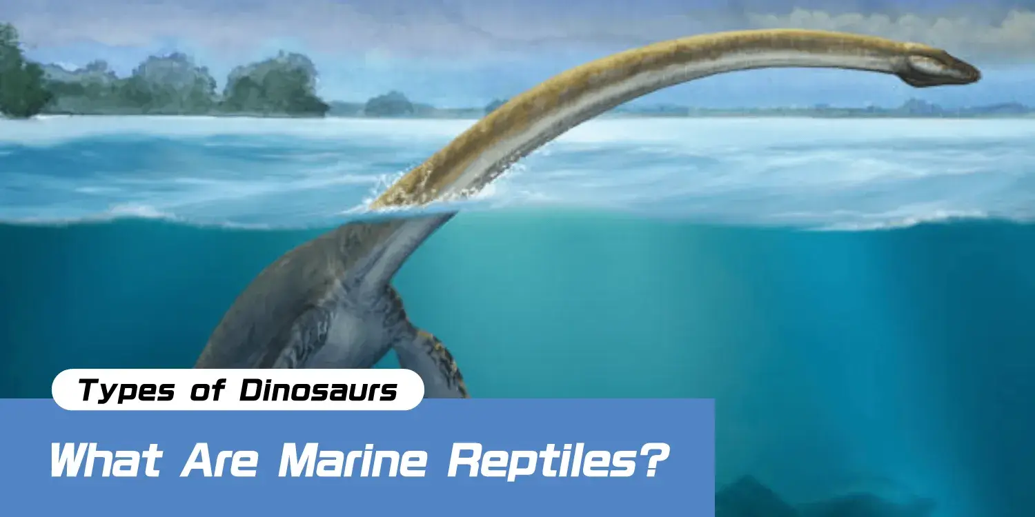 Marine Reptiles of the Dinosaur Age