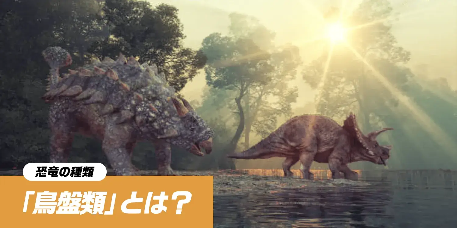恐竜三大グループの一つ「鳥盤類」とは?代表的な恐竜から意外な真実まで解説
