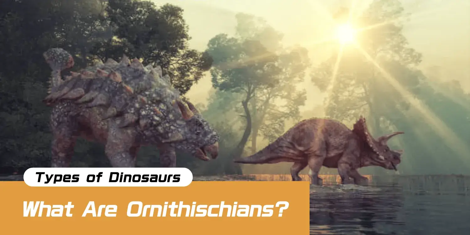 What Are Ornithischians? Unveiling Key Species and Surprising Truths About One of the Three Major Dinosaur Groups.