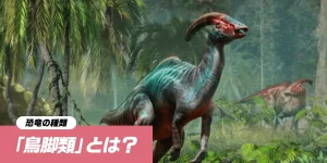 eyecatch_about-ornithopoda-