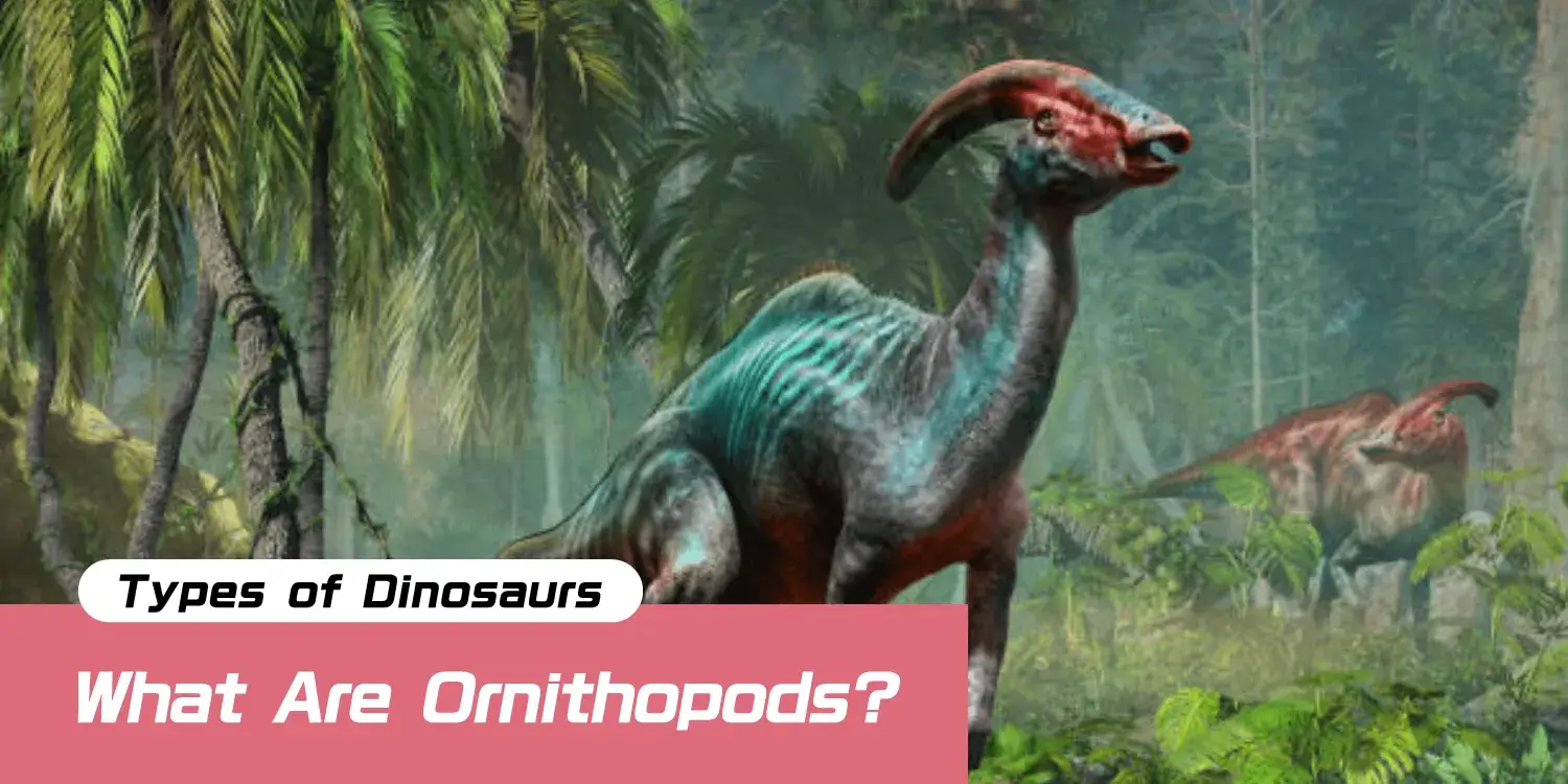 The Bird-Footed Dinosaurs: Ornithopods—A Worldwide Success Story of Astonishing Diversity and Survival.