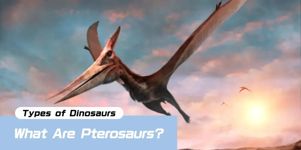 Pterosaurs: The Flying Reptiles of the Dinosaur Age